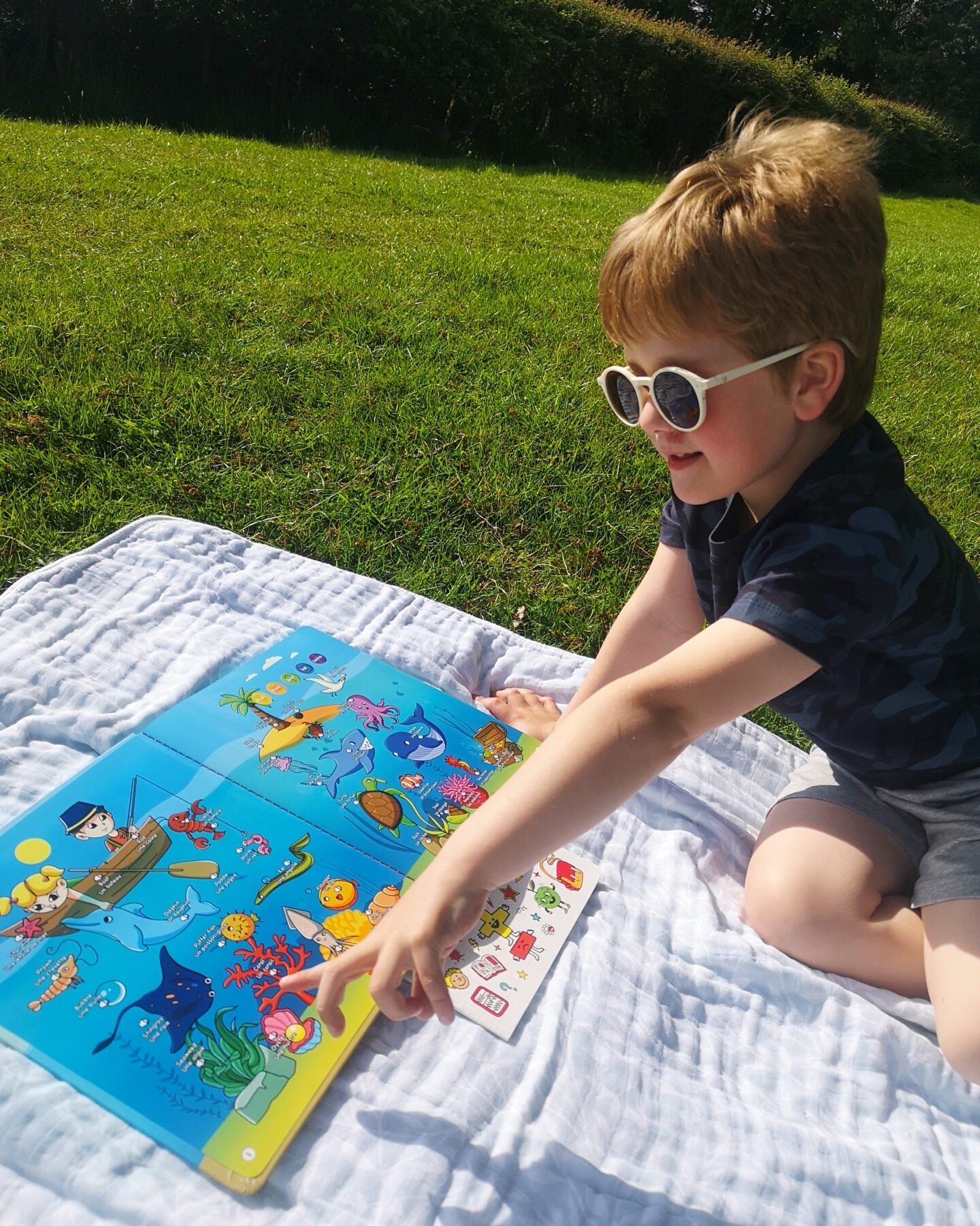 Mini Mind-ProBook™ || Plus de 400 mots et expressions en anglais et en français dès 3 ans